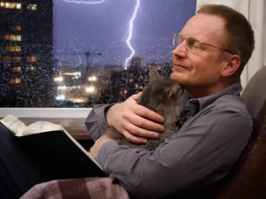 Pet Feel Safe Noise Blog Statestreetvet