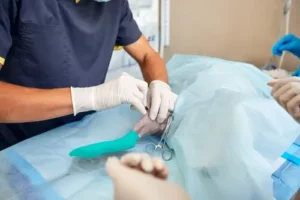 Spaying And Neutering Pet Blog Statestreetvet