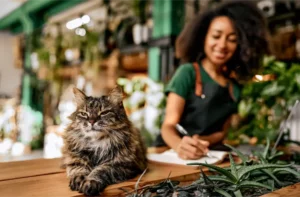 Cat At Work