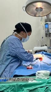 Doctor During Surgery On Pet