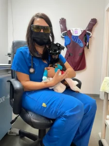 Dog Vet Care