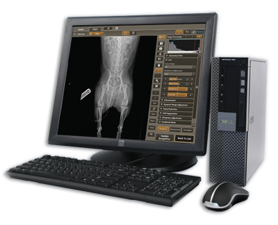 Radiology