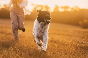 Running With Dog