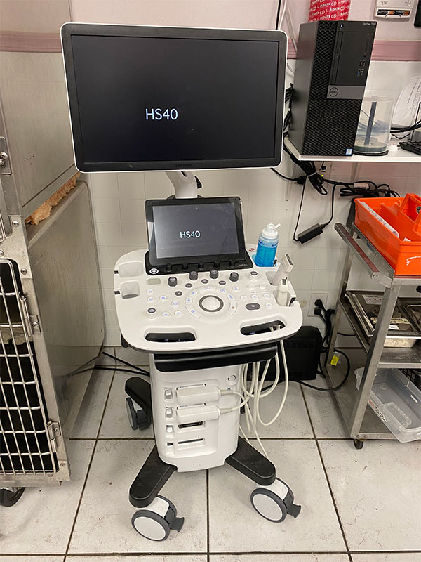 Ultrasound